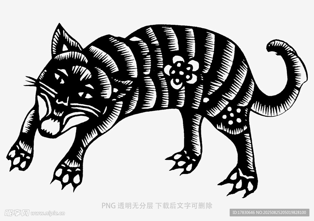 黑白花纹猫的独特形象