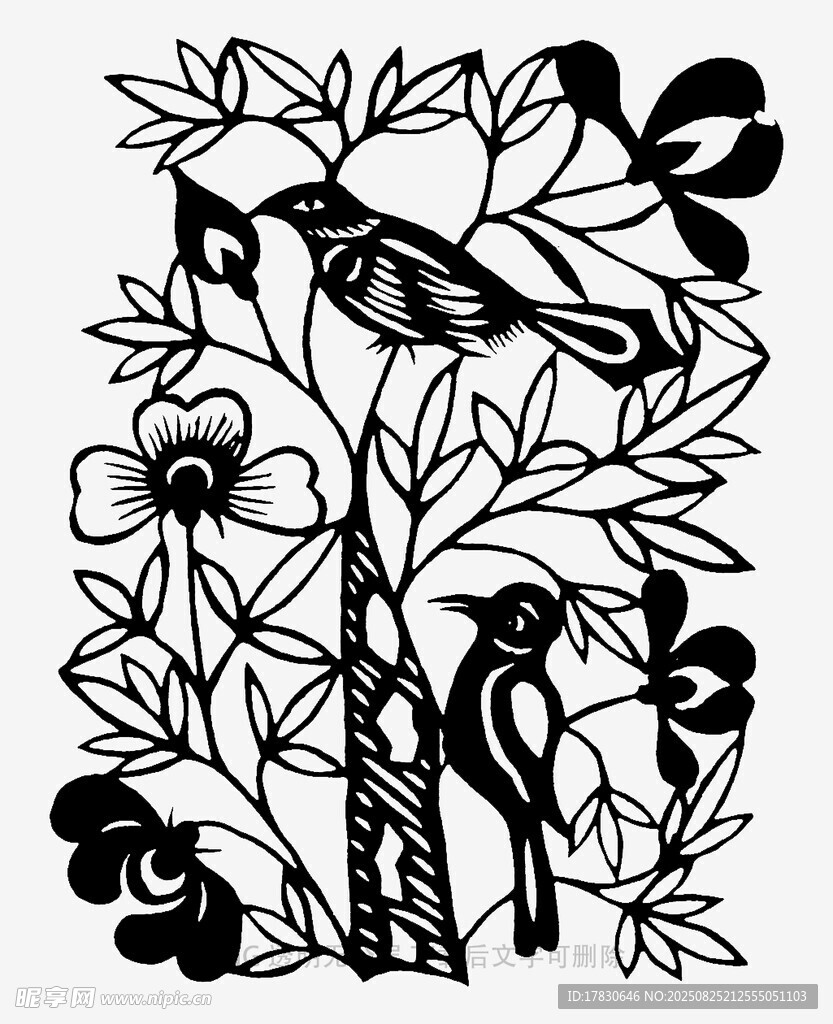 黑白花鸟植物插画