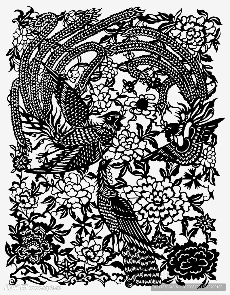 黑白花鸟图案艺术插画