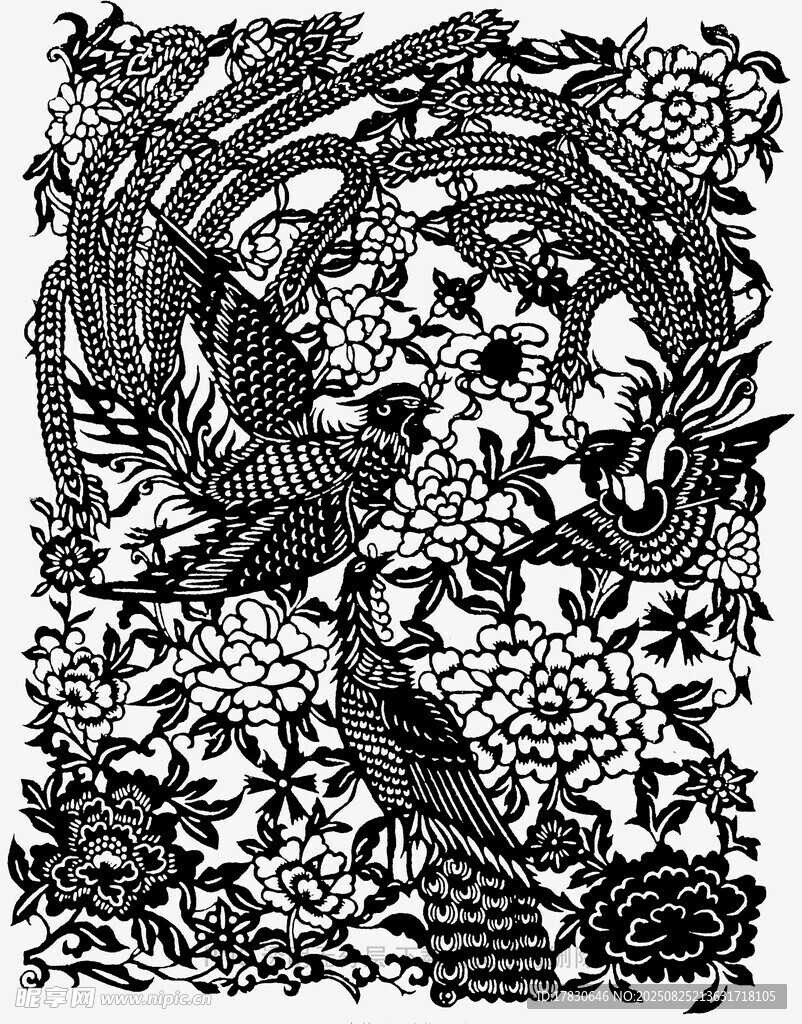 黑白花鸟图案艺术作品