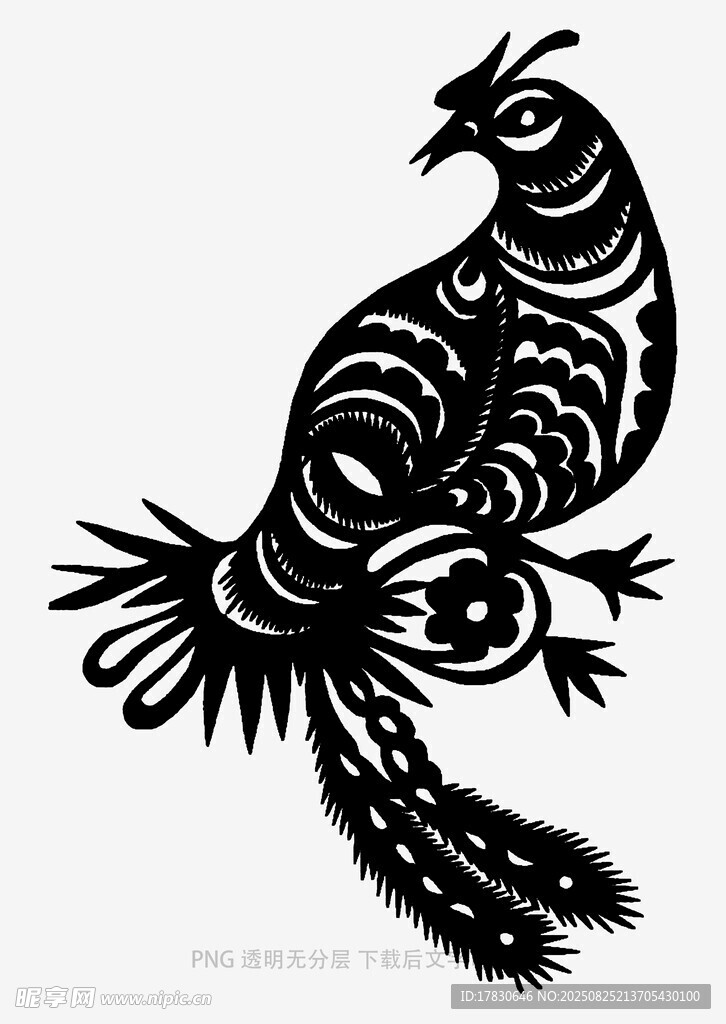 黑白剪纸风长尾鸟图案