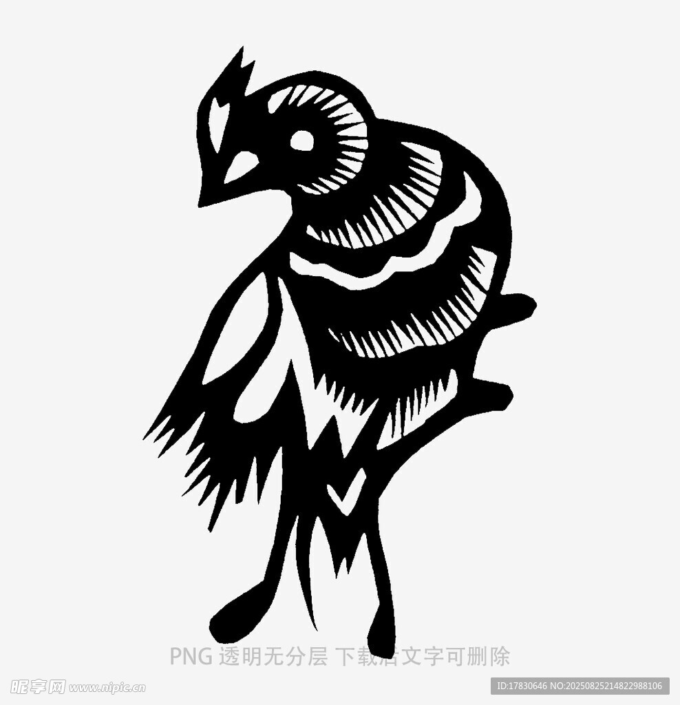 黑白风格鸟的艺术插画