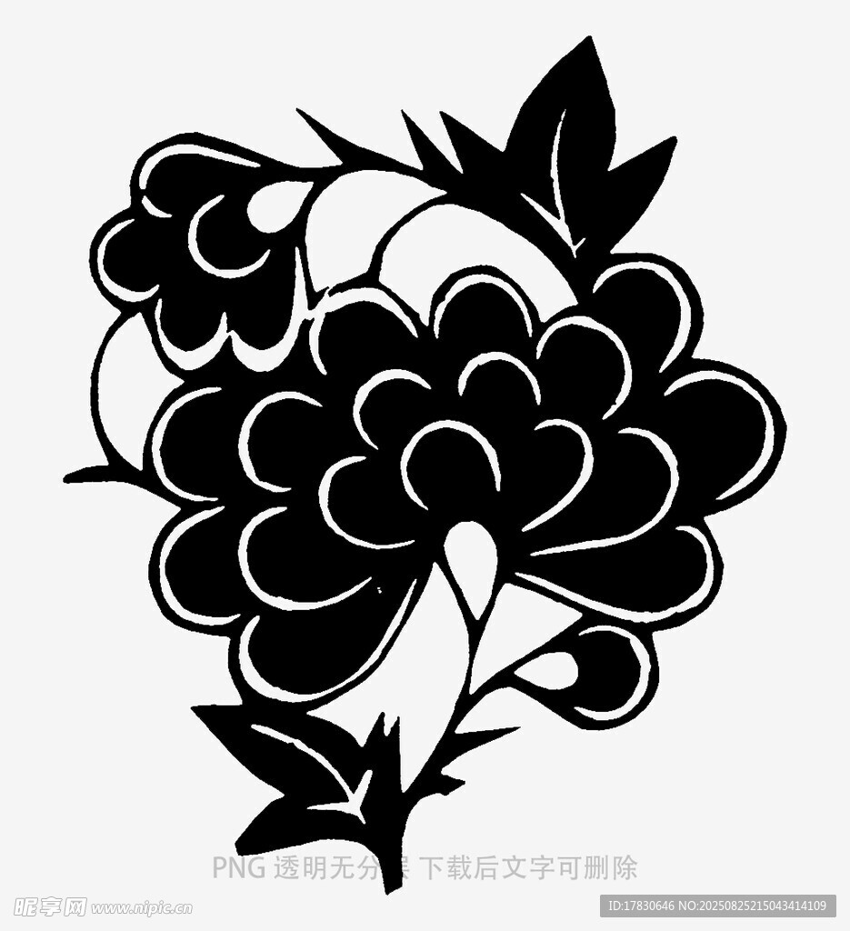 黑白花卉图案设计