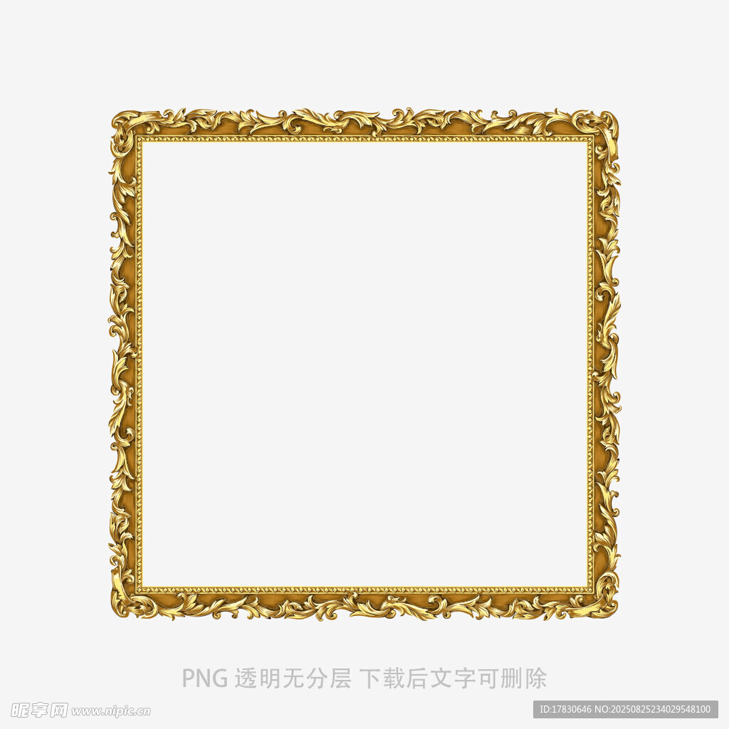 金色华丽方形边框装饰