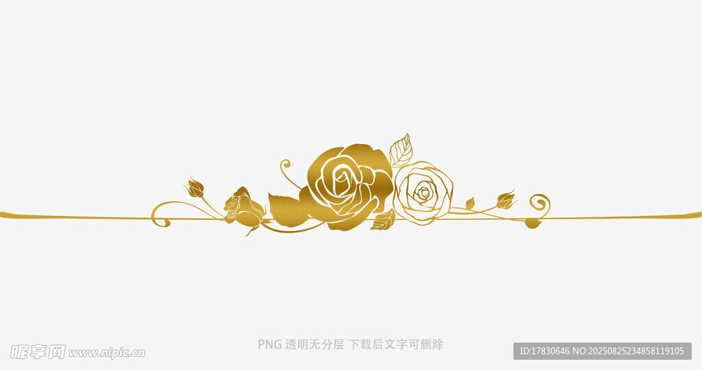 金色花卉装饰线条图案
