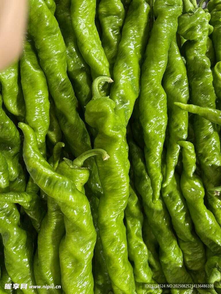 辣椒