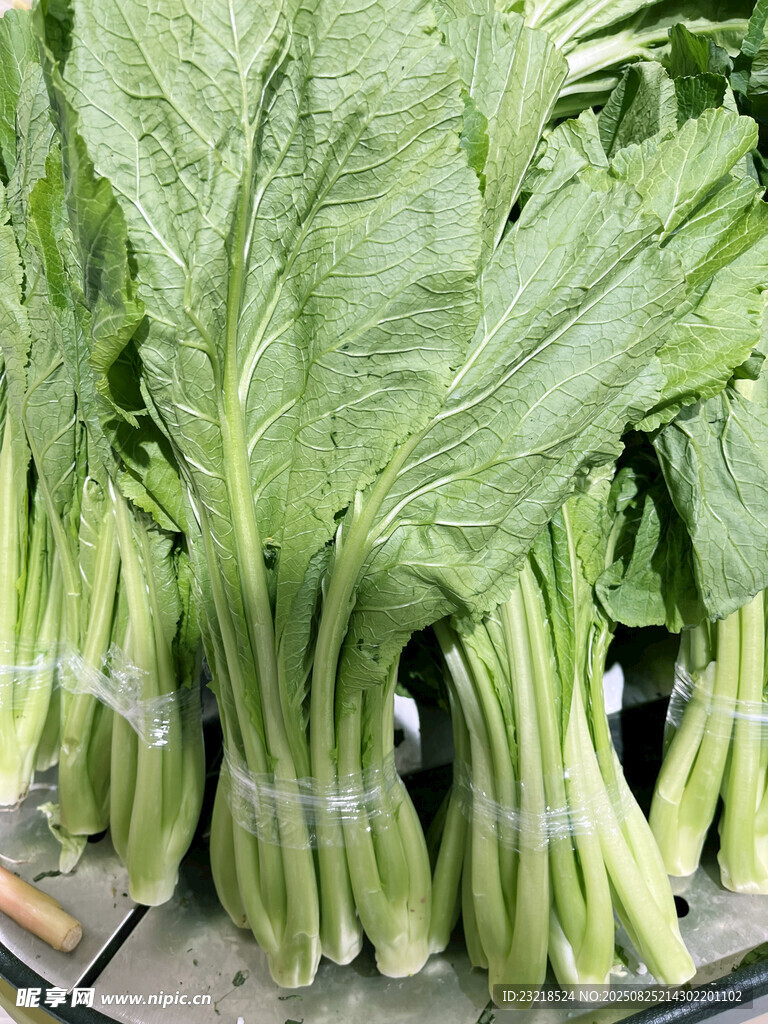 春菜