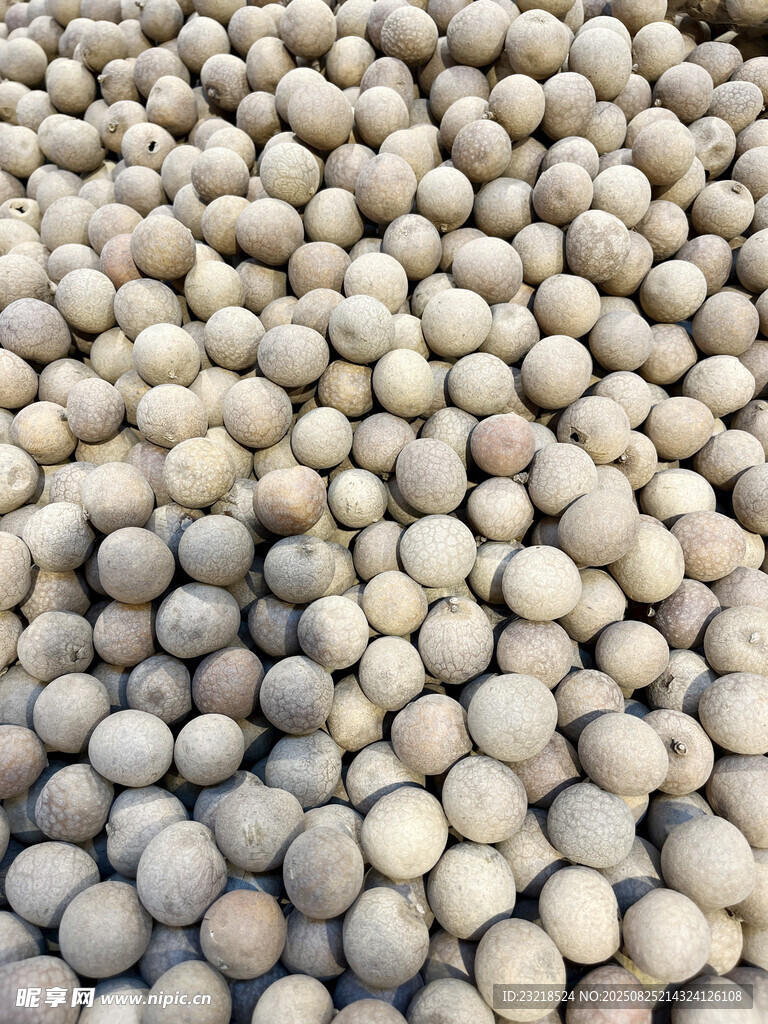 桂圆