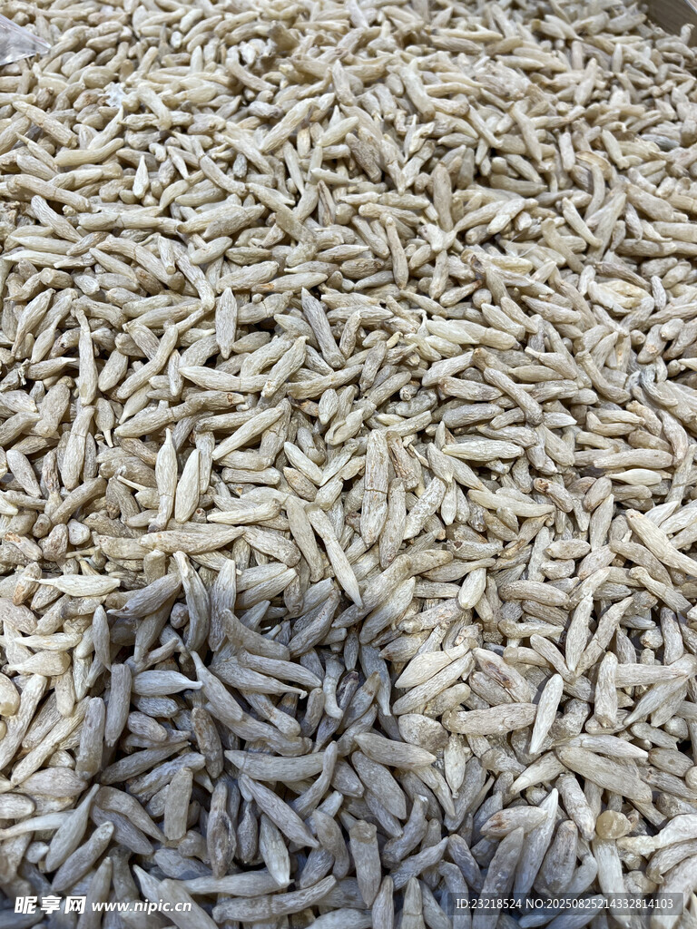 麦冬