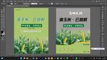 农产品玉米包装海报设计
