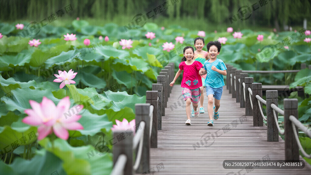 荷塘 栈道 儿童嬉戏