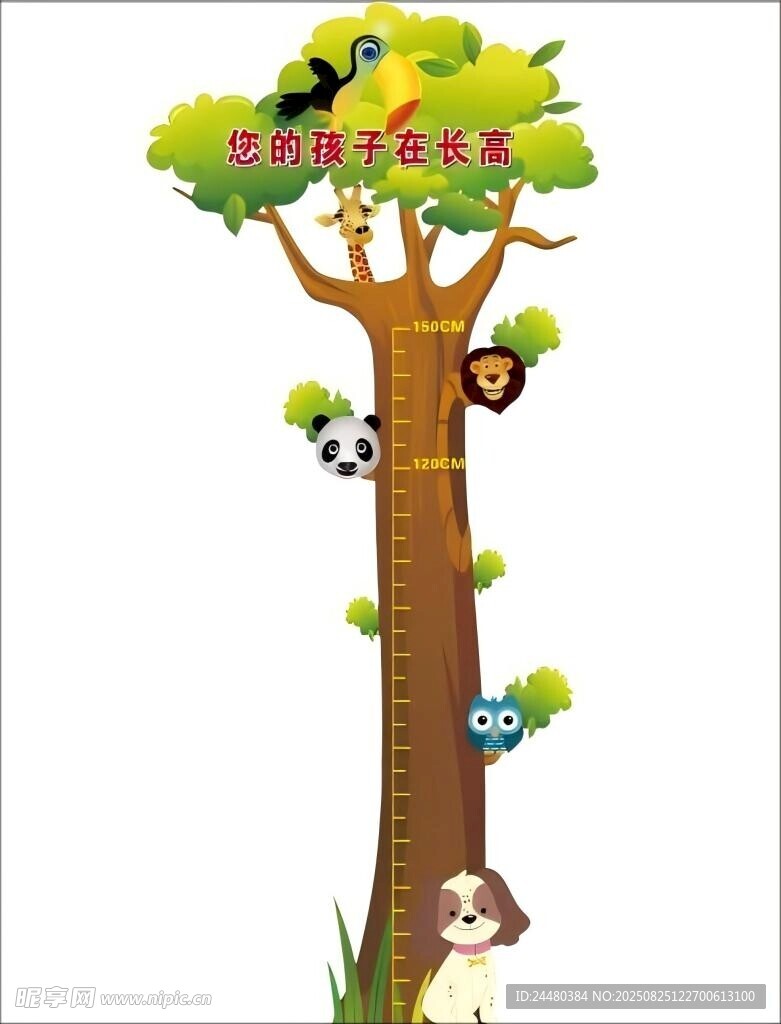 身高尺
