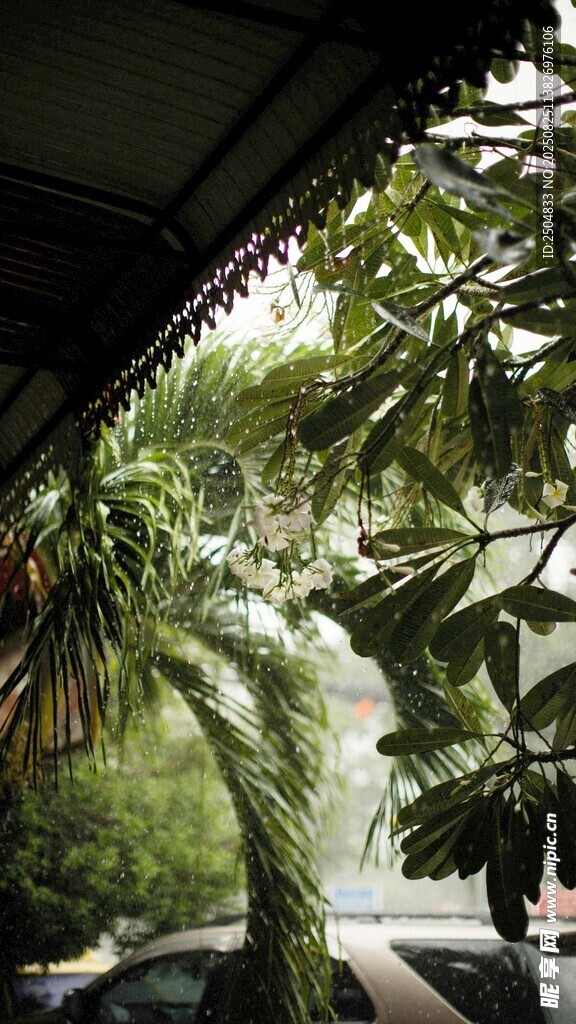 室内绿植景观一角