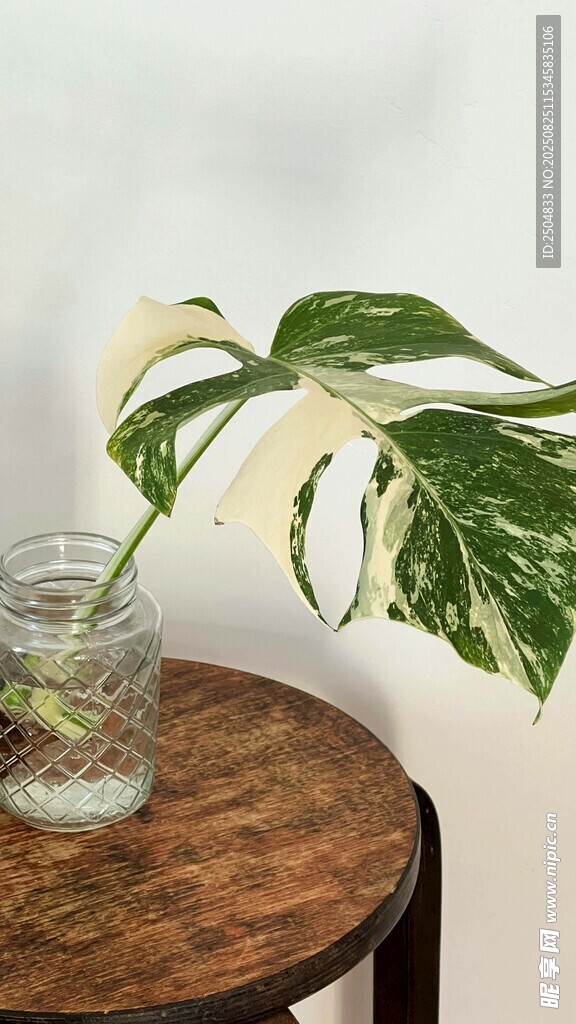 圆桌上的绿植与玻璃容器