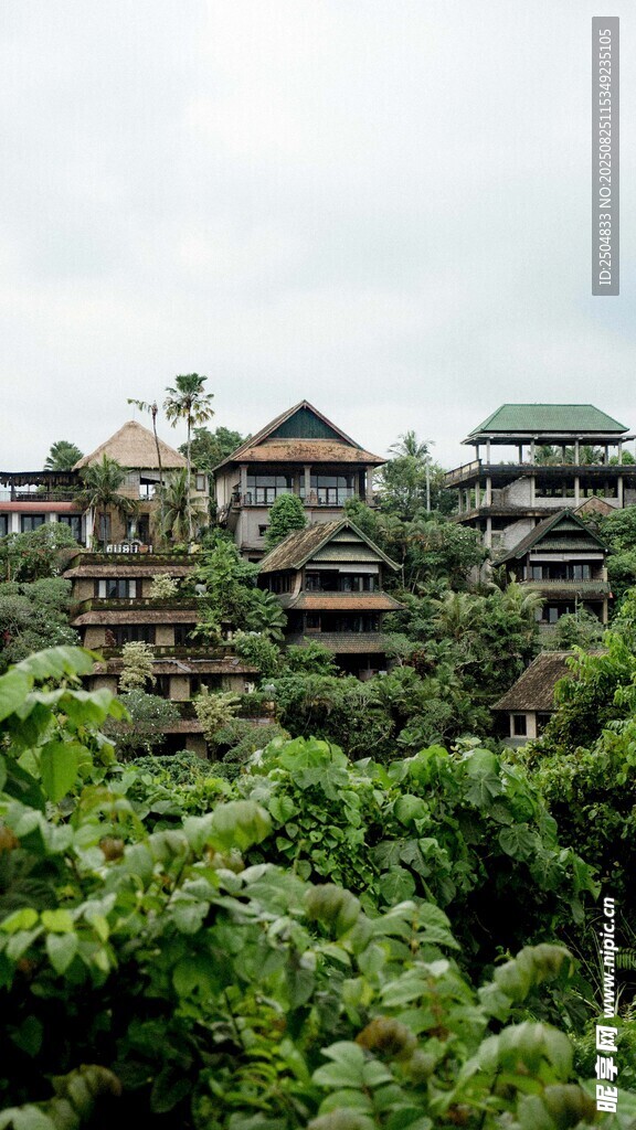 丛林中的特色建筑景观