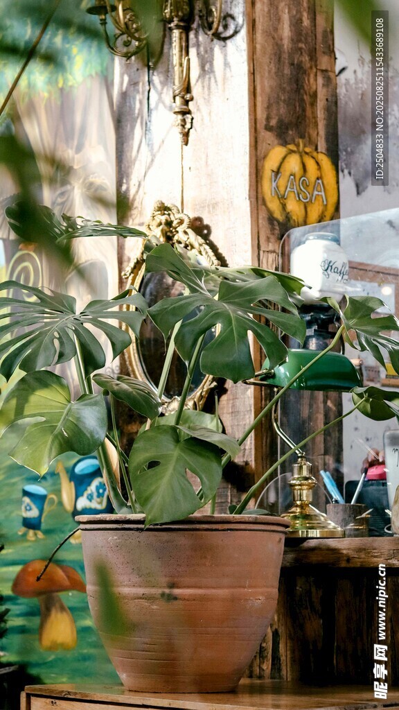 室内绿植盆栽景观