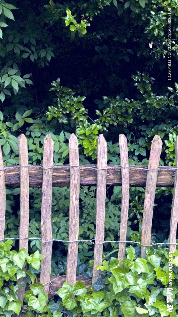 木质栅栏旁的翠绿植物