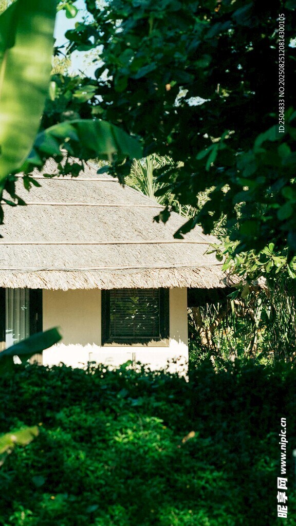 绿荫环绕的温馨小屋