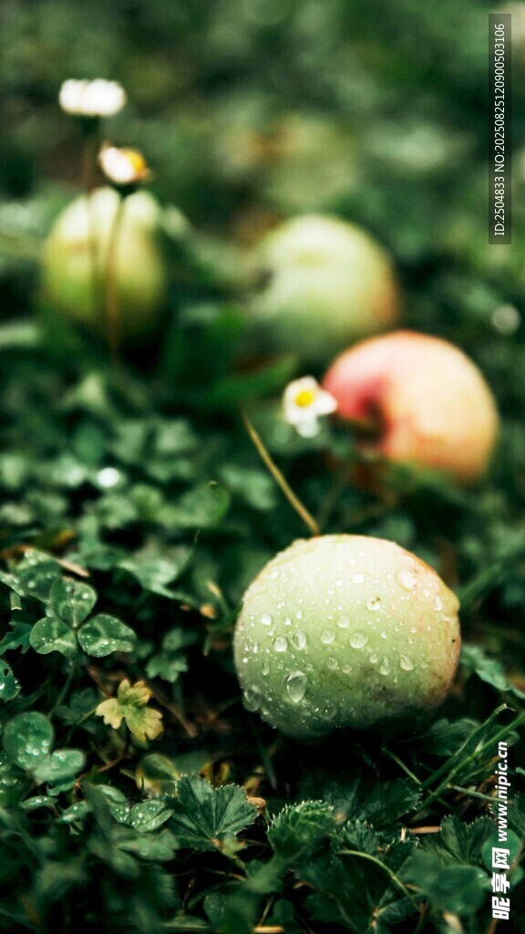 草地上的多彩果实