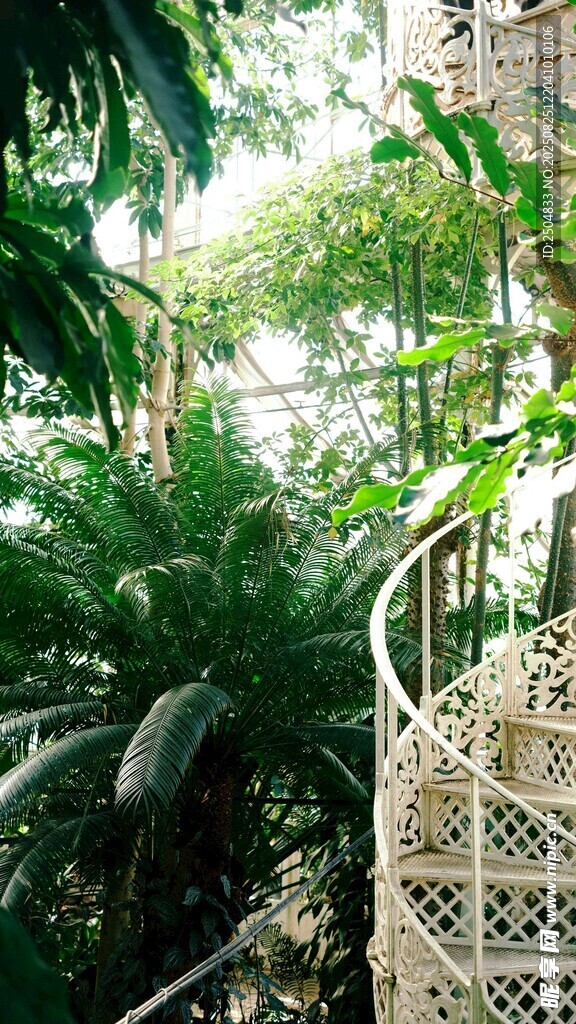 室内绿植环绕的精致角落