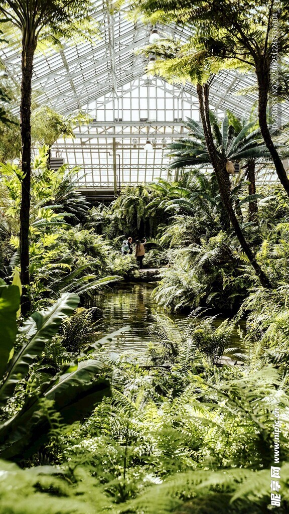 绿意盎然的自然植物景观