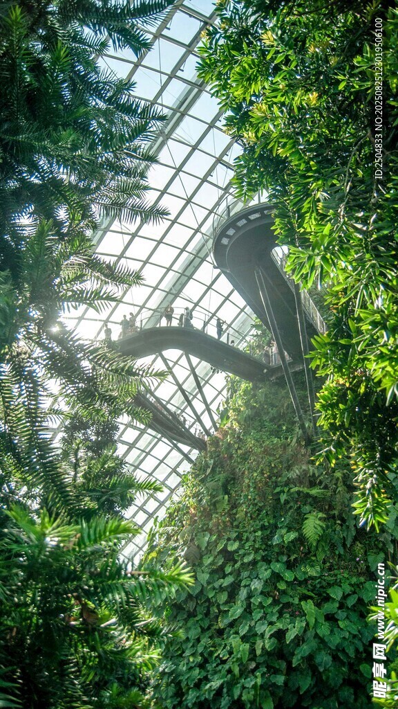 温室中繁茂的绿植景观