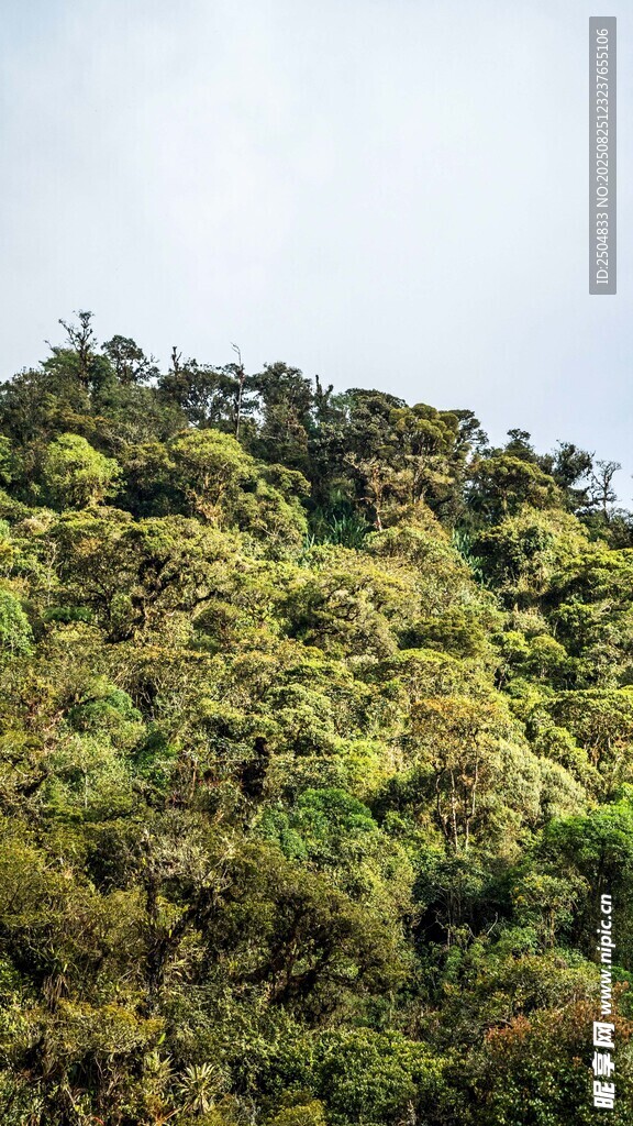 翠绿山峦 尽显自然生机