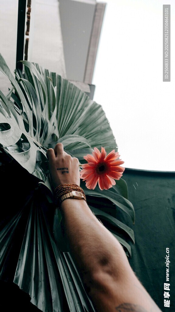 手持折扇与红花的手臂
