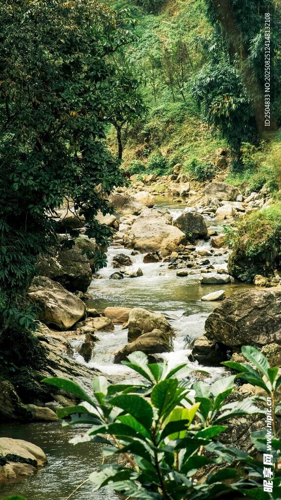 山间溪流 绿意盎然的景致