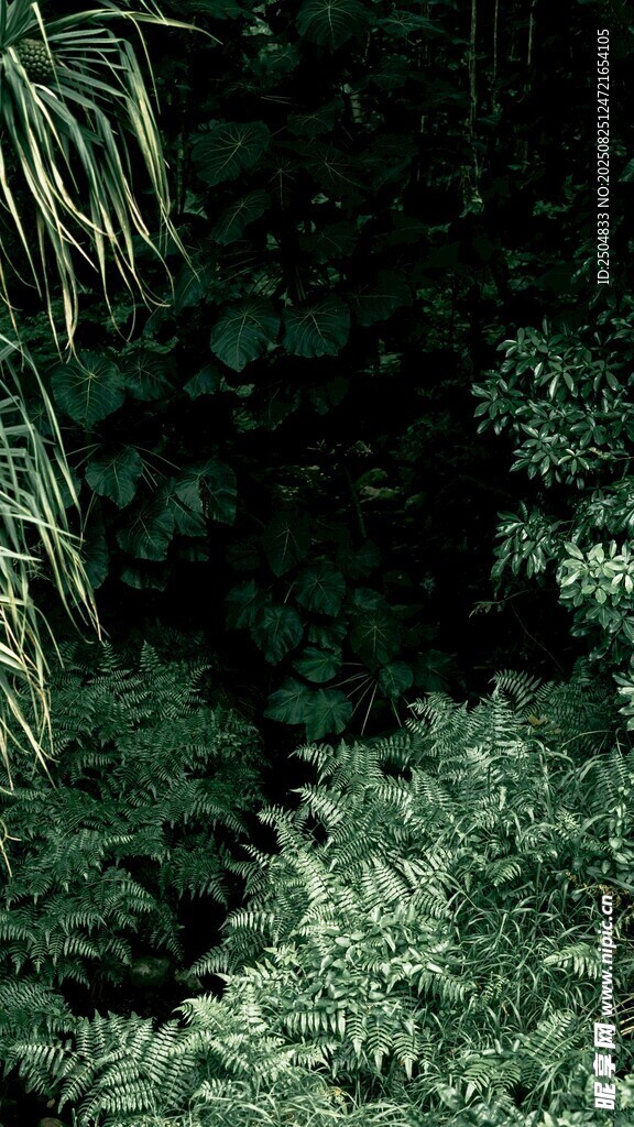 茂密绿植景观