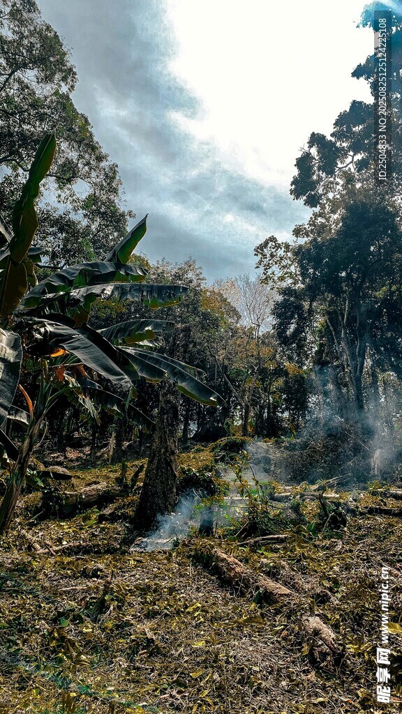 林间小道 自然静谧之景