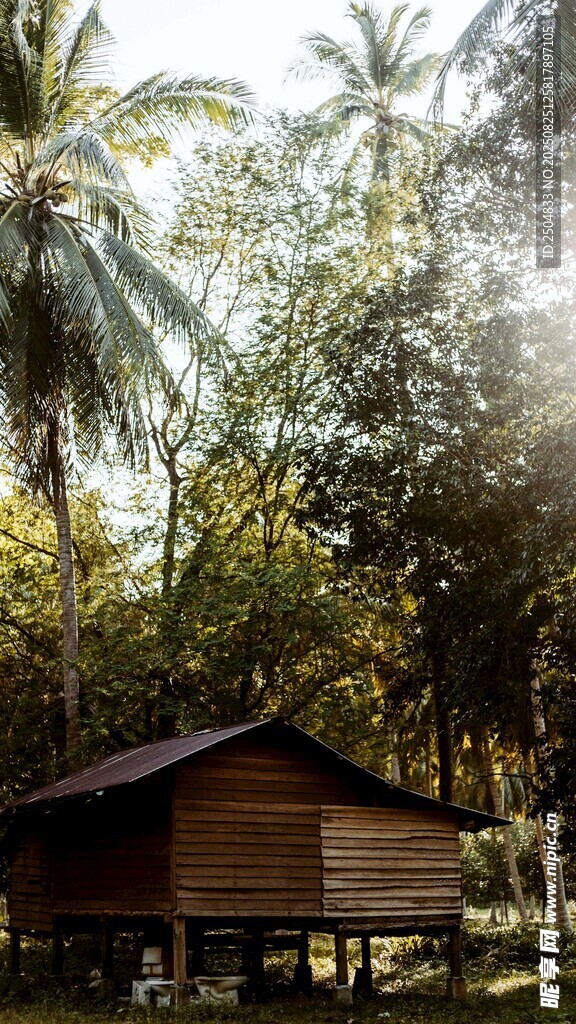 林间木屋 静谧自然之景