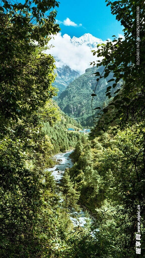 林间远眺山谷美景