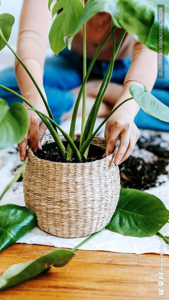手工栽种绿植的温馨场景