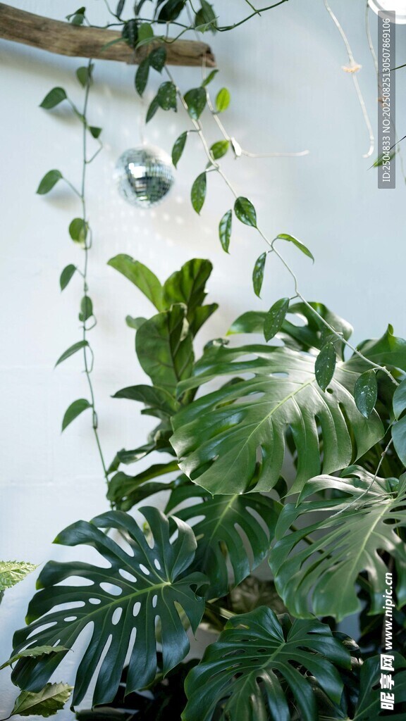 室内绿植景观 生机盎然