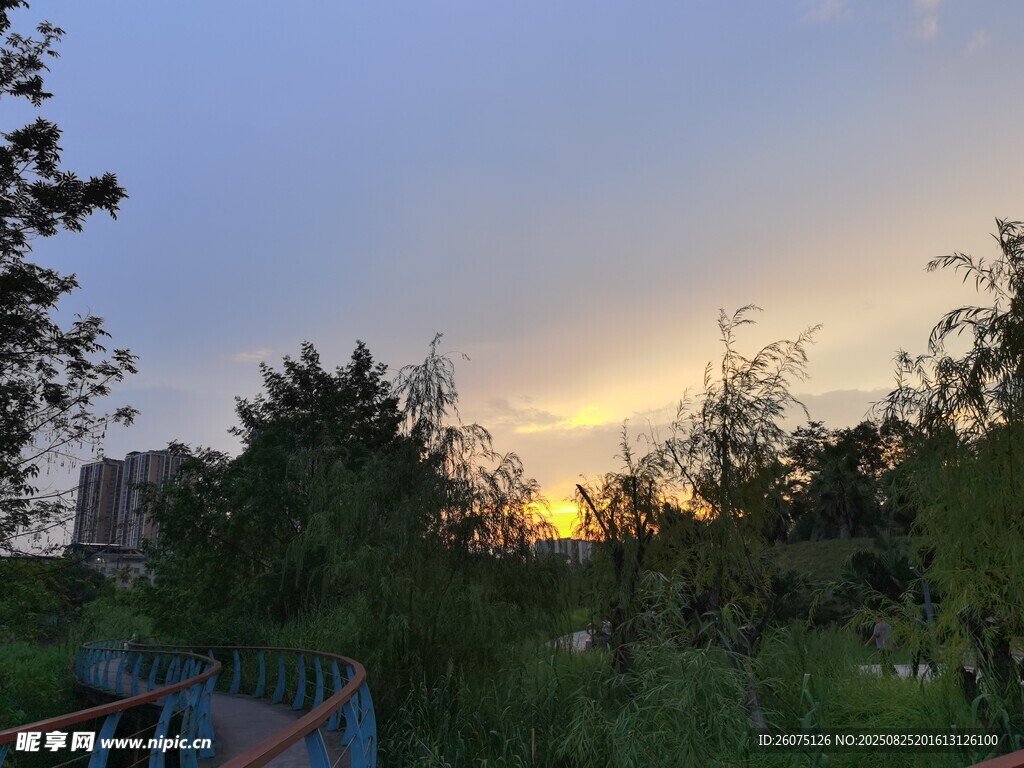 黄昏下的绿植与建筑剪影