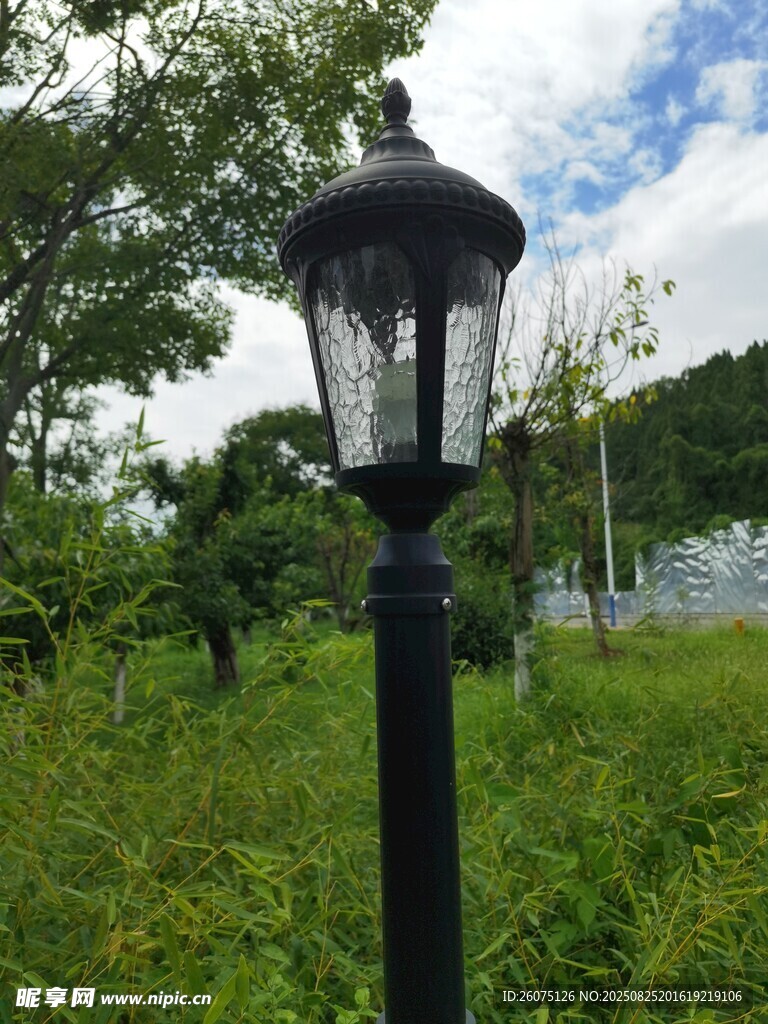 户外草地中的复古风路灯
