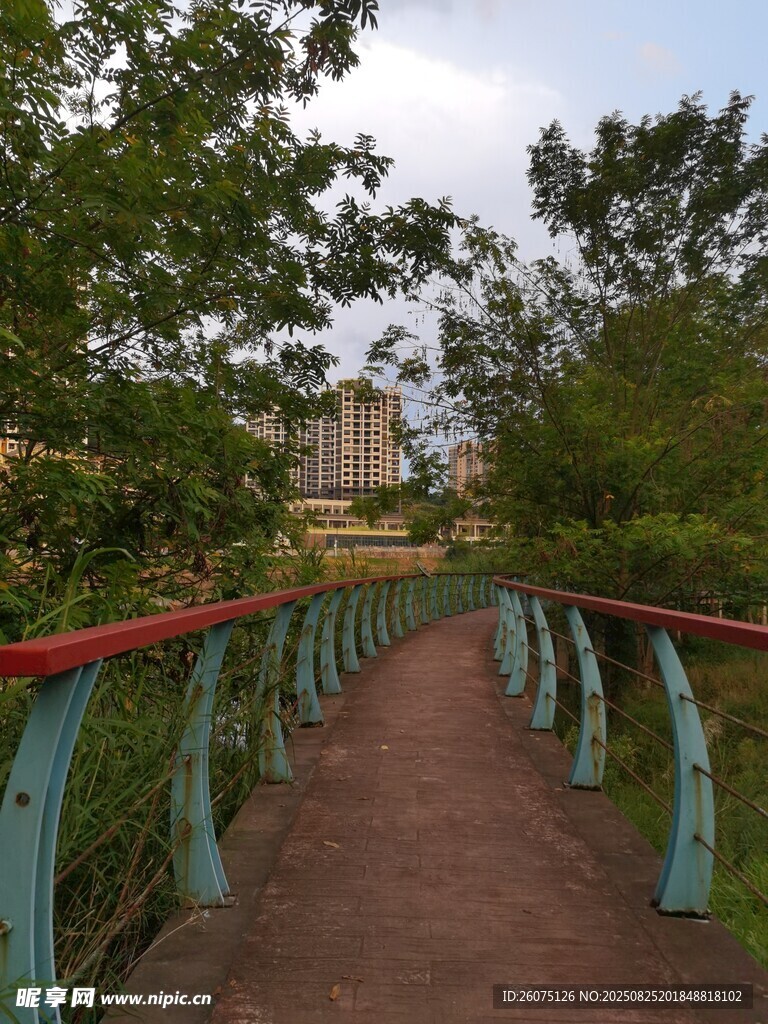 河畔林间漫步休闲小径