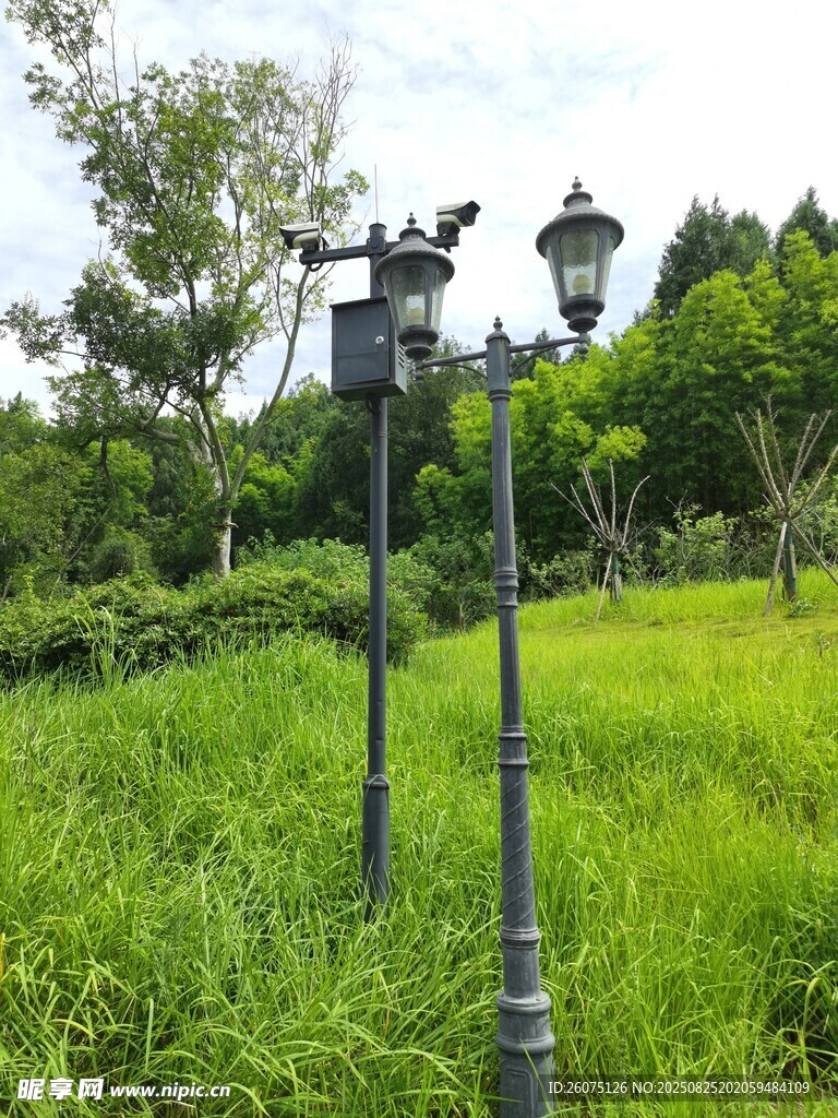 公园草地旁的复古路灯