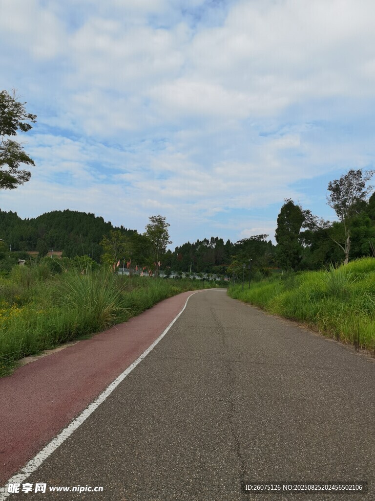 乡村公路绿意盎然的风景