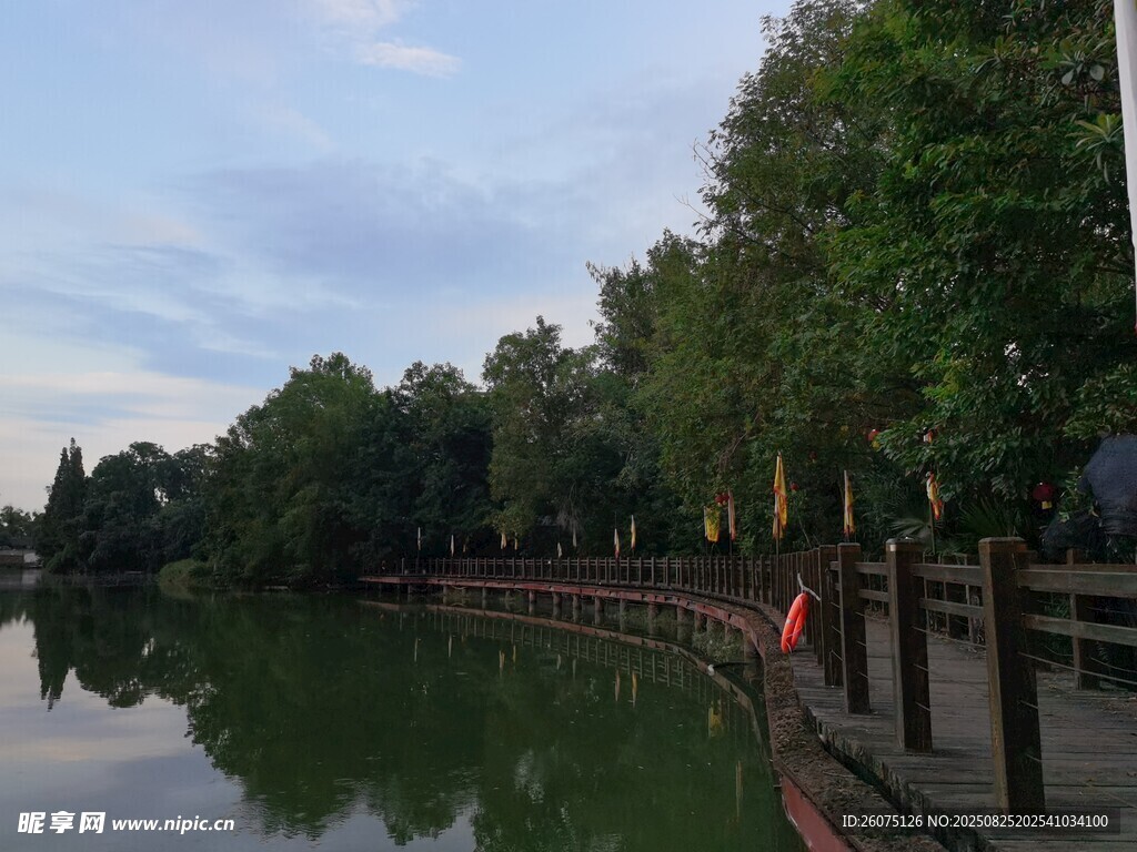 湖畔林荫步道静谧风光