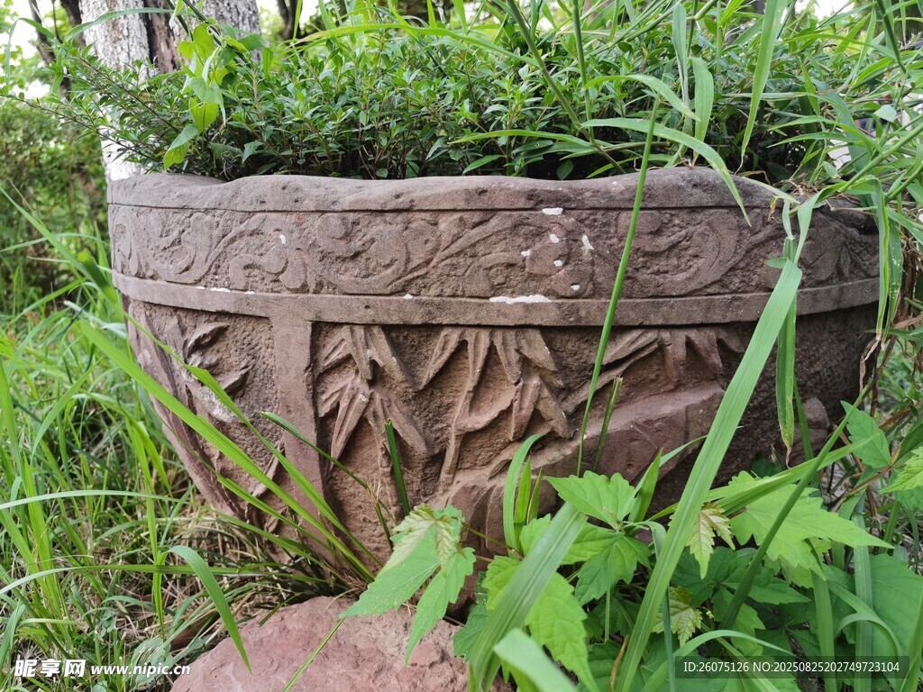 复古雕花花盆中的绿植