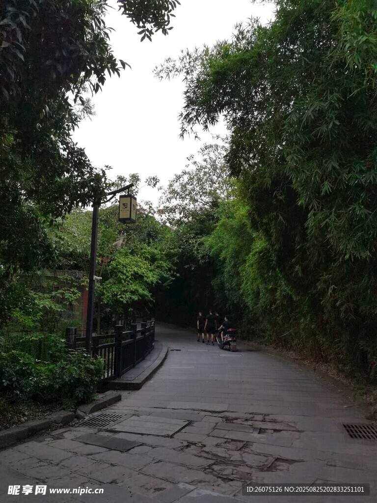 竹林间幽静小道
