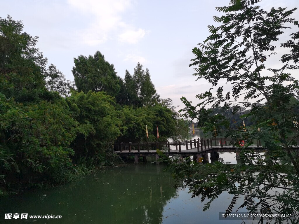 湖畔绿树环绕的宁静景致