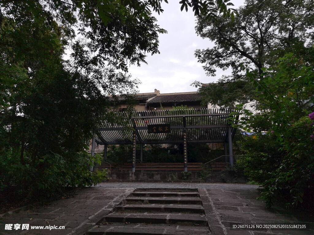 林间石阶通往隐秘建筑