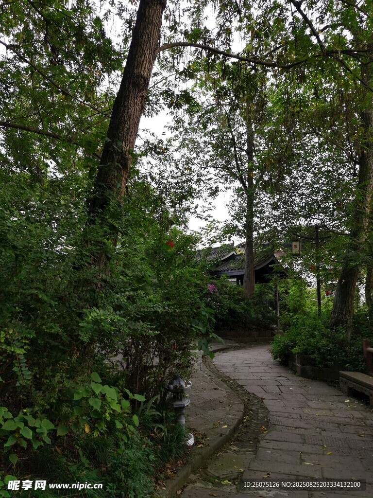 林间蜿蜒小径