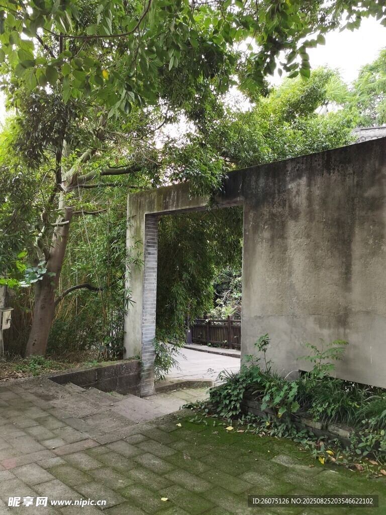 古旧门洞旁的绿意景致