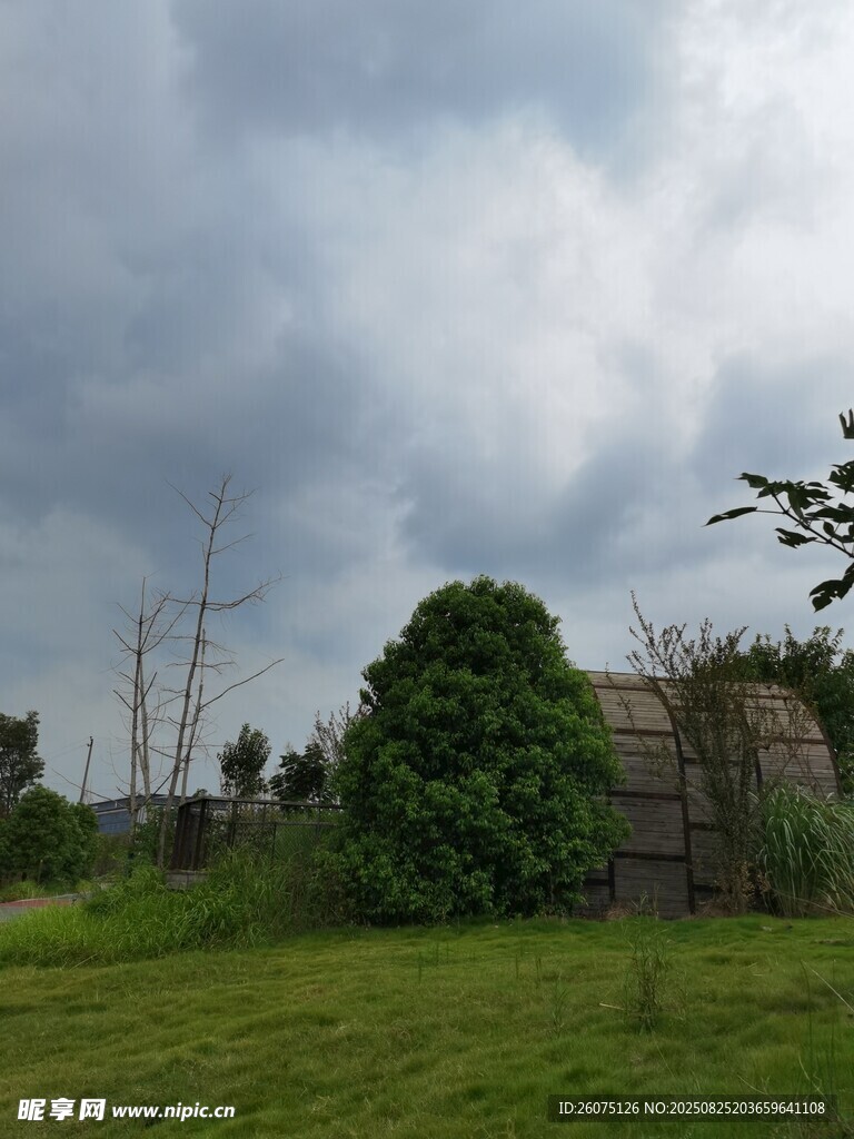 城郊公园草坪与阴沉天空景象