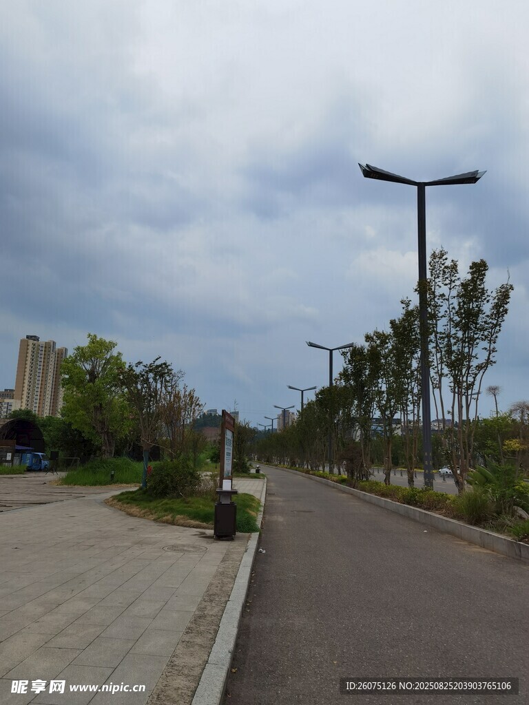城市道路旁的绿化景观