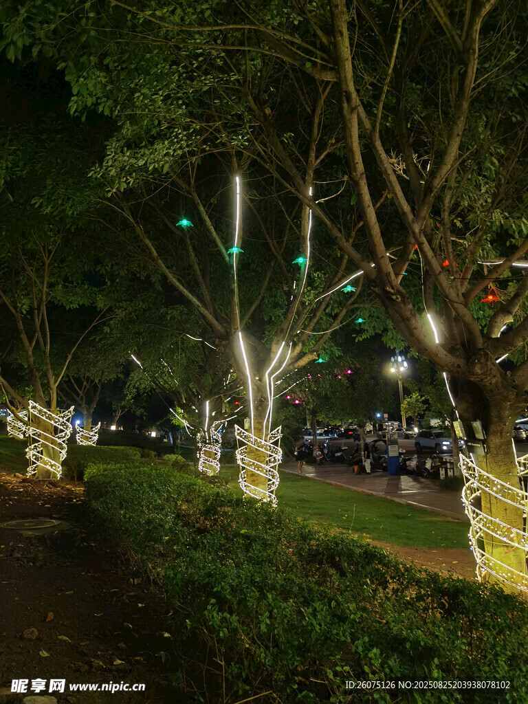 夜晚树木装饰灯光美景